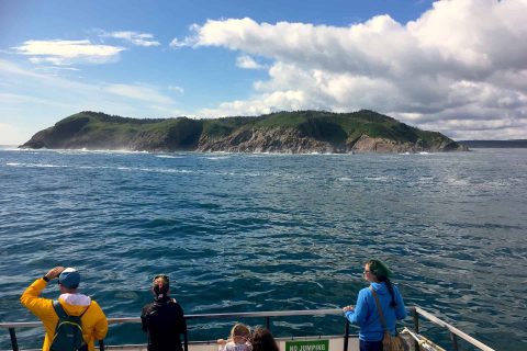 Tour boat passengers stand at the railing and look towards an approaching island and a beautiful day.