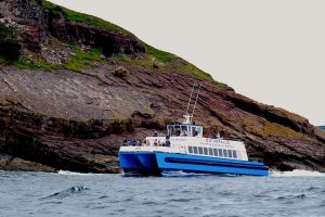 Gatherall's Puffin & Whale Watch