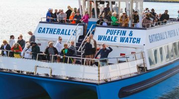 IMG_3757 2 IMG_3757 2