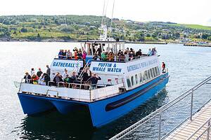 Gatherall's Catamaran Dockside